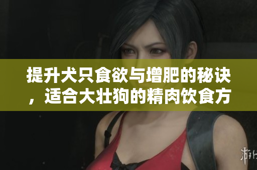 提升犬只食欲与增肥的秘诀，适合大壮狗的精肉饮食方法