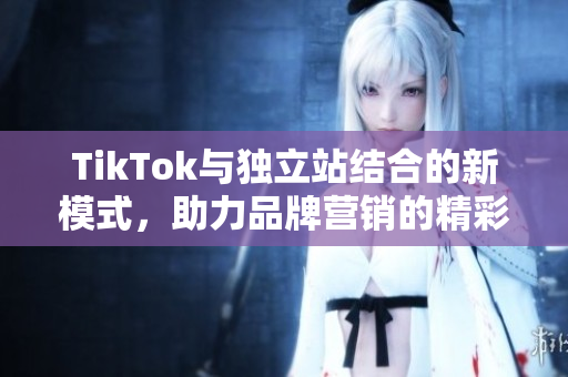 TikTok与独立站结合的新模式，助力品牌营销的精彩探索