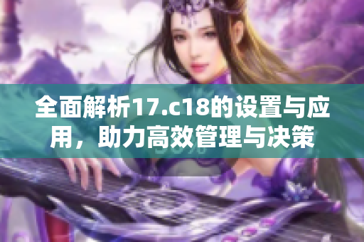 全面解析17.c18的设置与应用，助力高效管理与决策