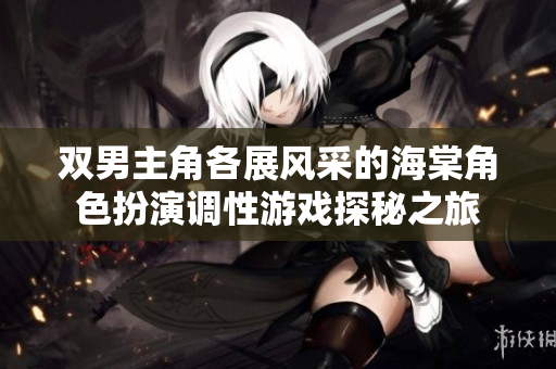 双男主角各展风采的海棠角色扮演调性游戏探秘之旅