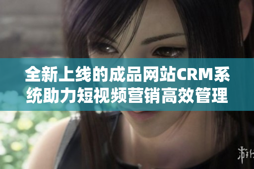 全新上线的成品网站CRM系统助力短视频营销高效管理与推广