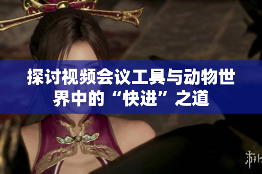 探讨视频会议工具与动物世界中的“快进”之道