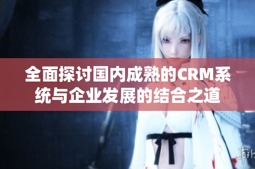 全面探讨国内成熟的CRM系统与企业发展的结合之道