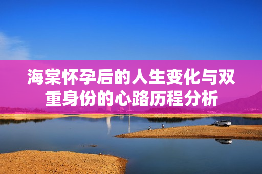 海棠怀孕后的人生变化与双重身份的心路历程分析