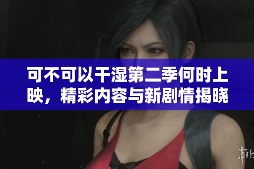 可不可以干湿第二季何时上映，精彩内容与新剧情揭晓