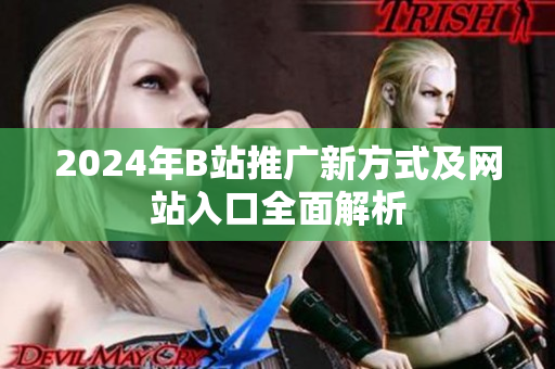 2024年B站推广新方式及网站入口全面解析