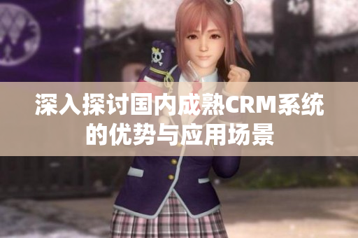深入探讨国内成熟CRM系统的优势与应用场景