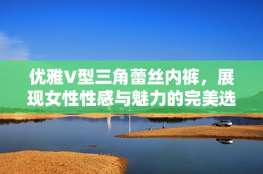 优雅V型三角蕾丝内裤，展现女性性感与魅力的完美选择
