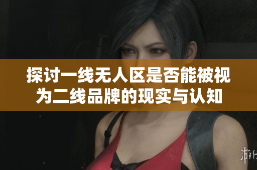 探讨一线无人区是否能被视为二线品牌的现实与认知