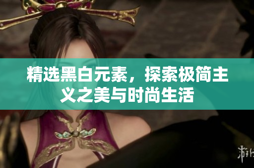 精选黑白元素，探索极简主义之美与时尚生活